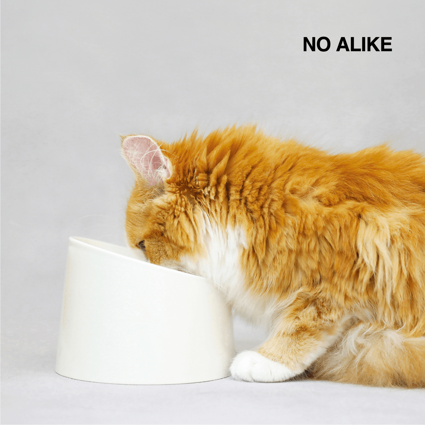 ペットのために考え抜かれた撥水ペット食器