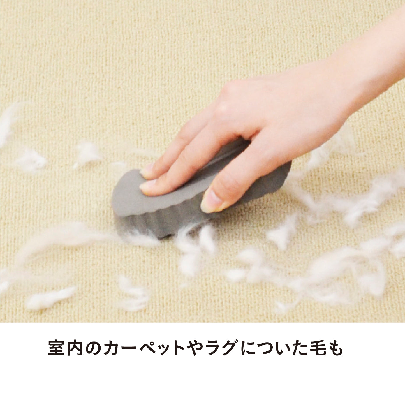 ペットの毛取りスポンジケトール