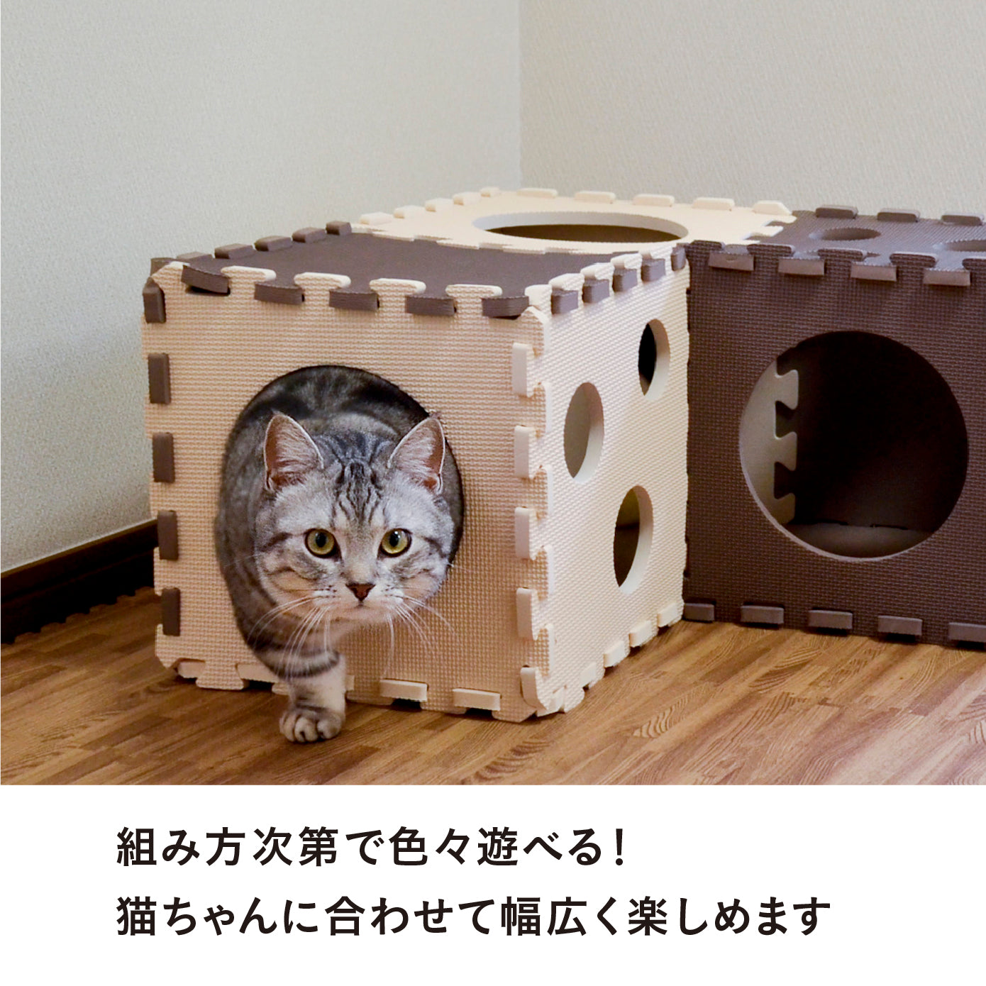 にゃんとしても研ぎたい 14枚組