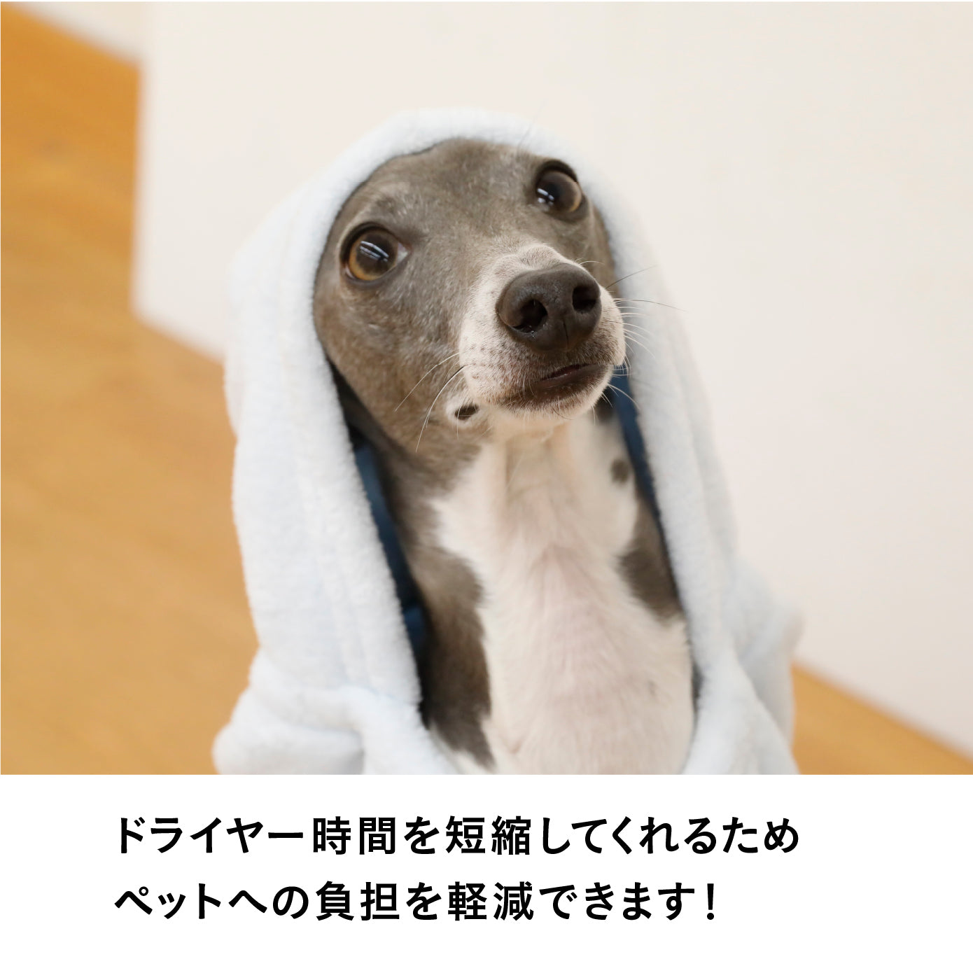 カラリペットローブ