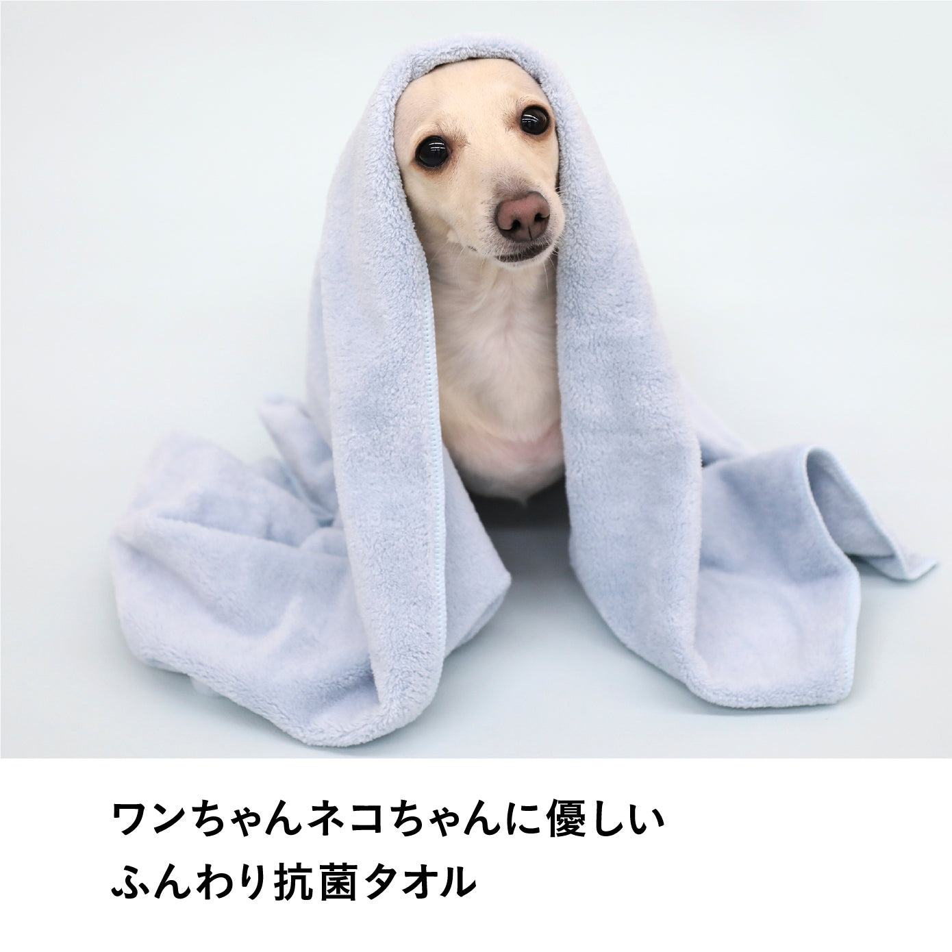 抗菌カラリペット