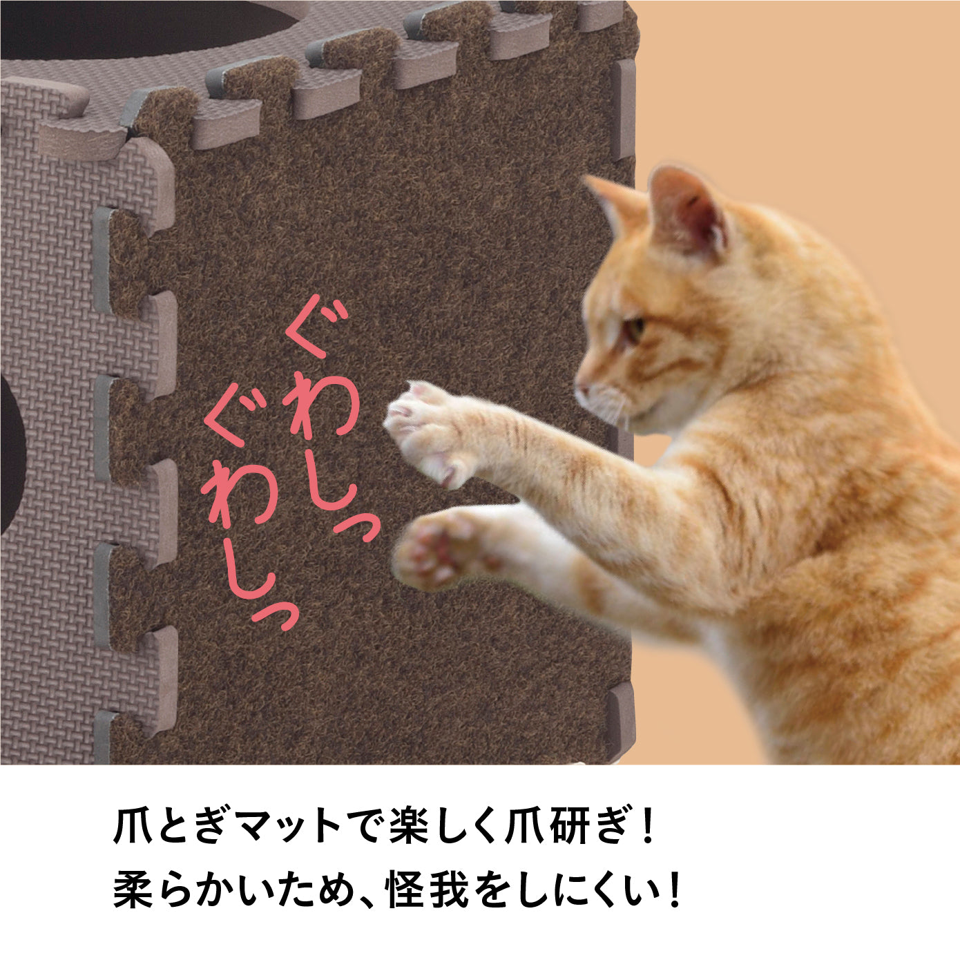 にゃんとしても研ぎたい 14枚組