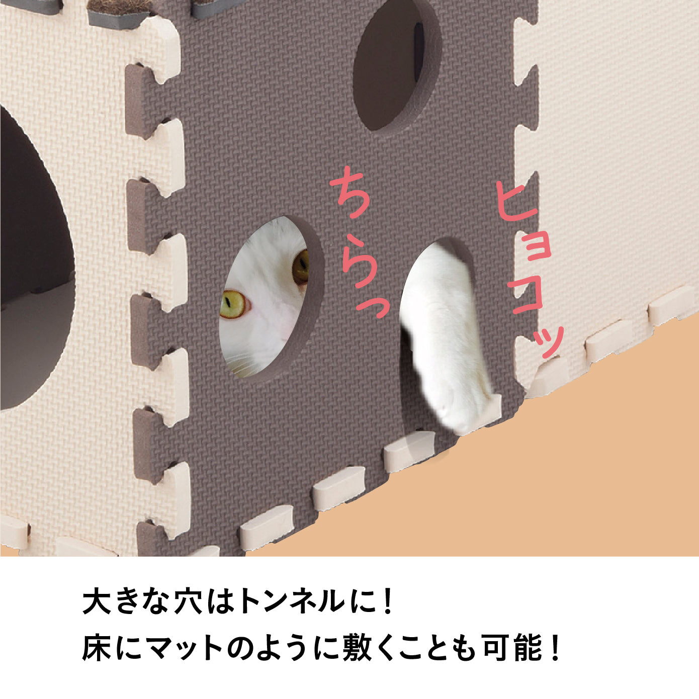 にゃんとしても研ぎたい 14枚組