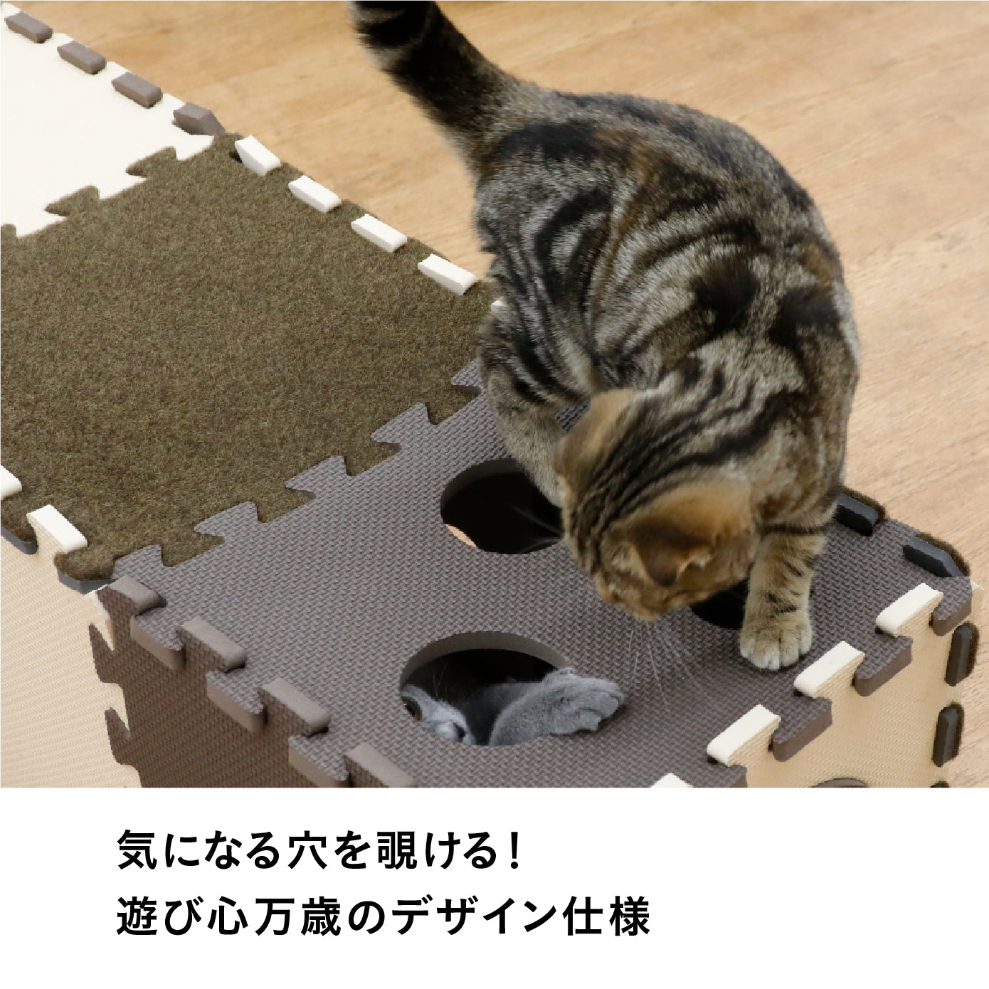 にゃんとしても研ぎたい 14枚組