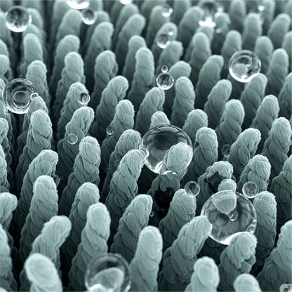 高密度の『ツイストパイル』マイクロファイバーを採用