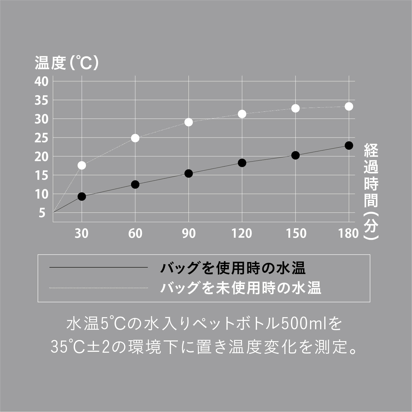 GRAFF 保冷ランチトートバッグ