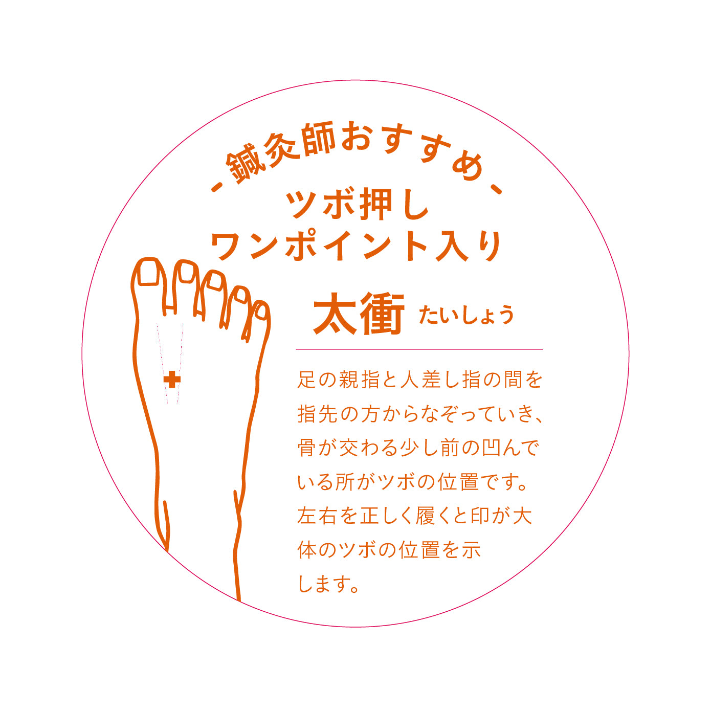 足の親指と人差し指の間を指先の方からなぞっていき、骨が交わる少し前の凹んでいる所がツボの位置です。