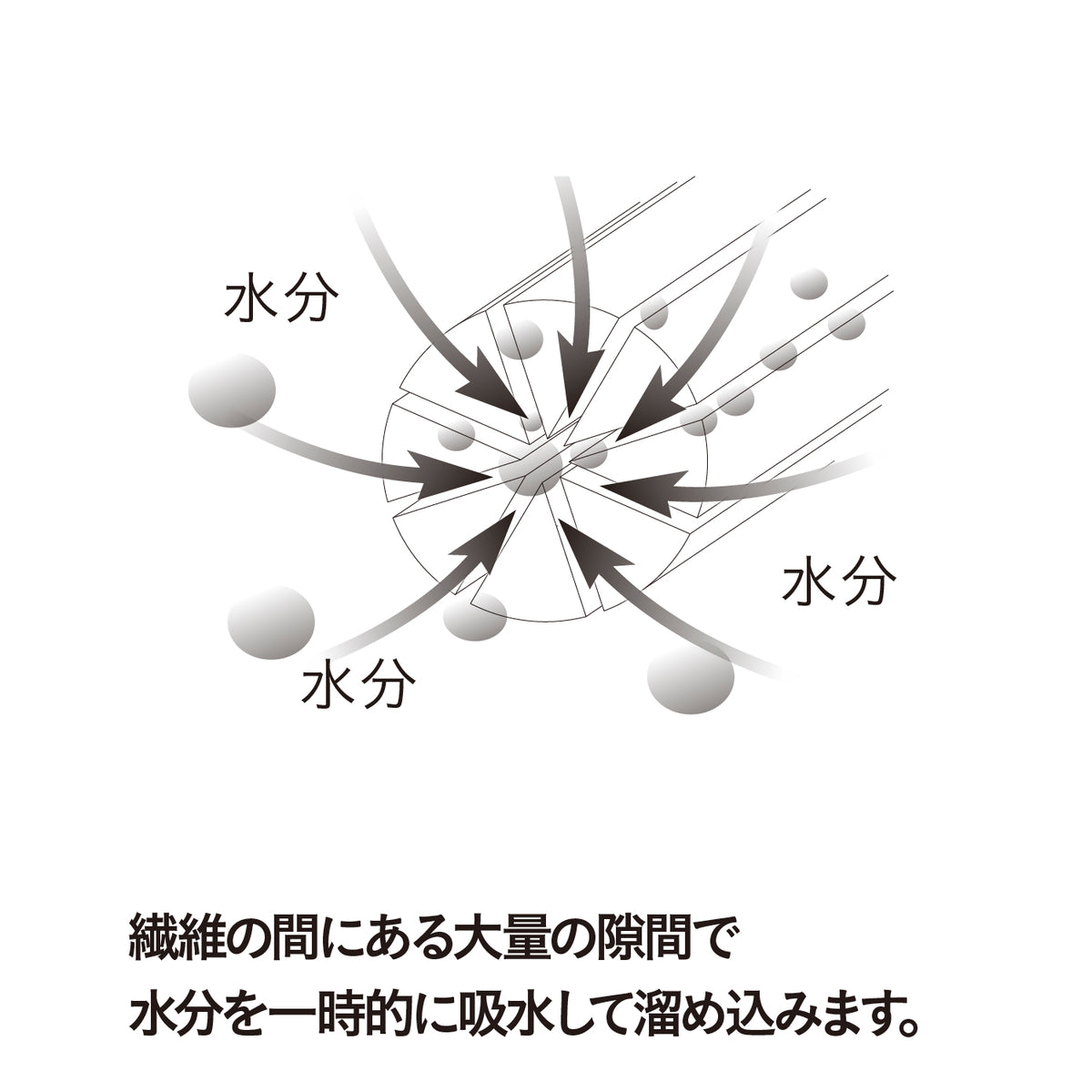 マイクロティッシュクロス