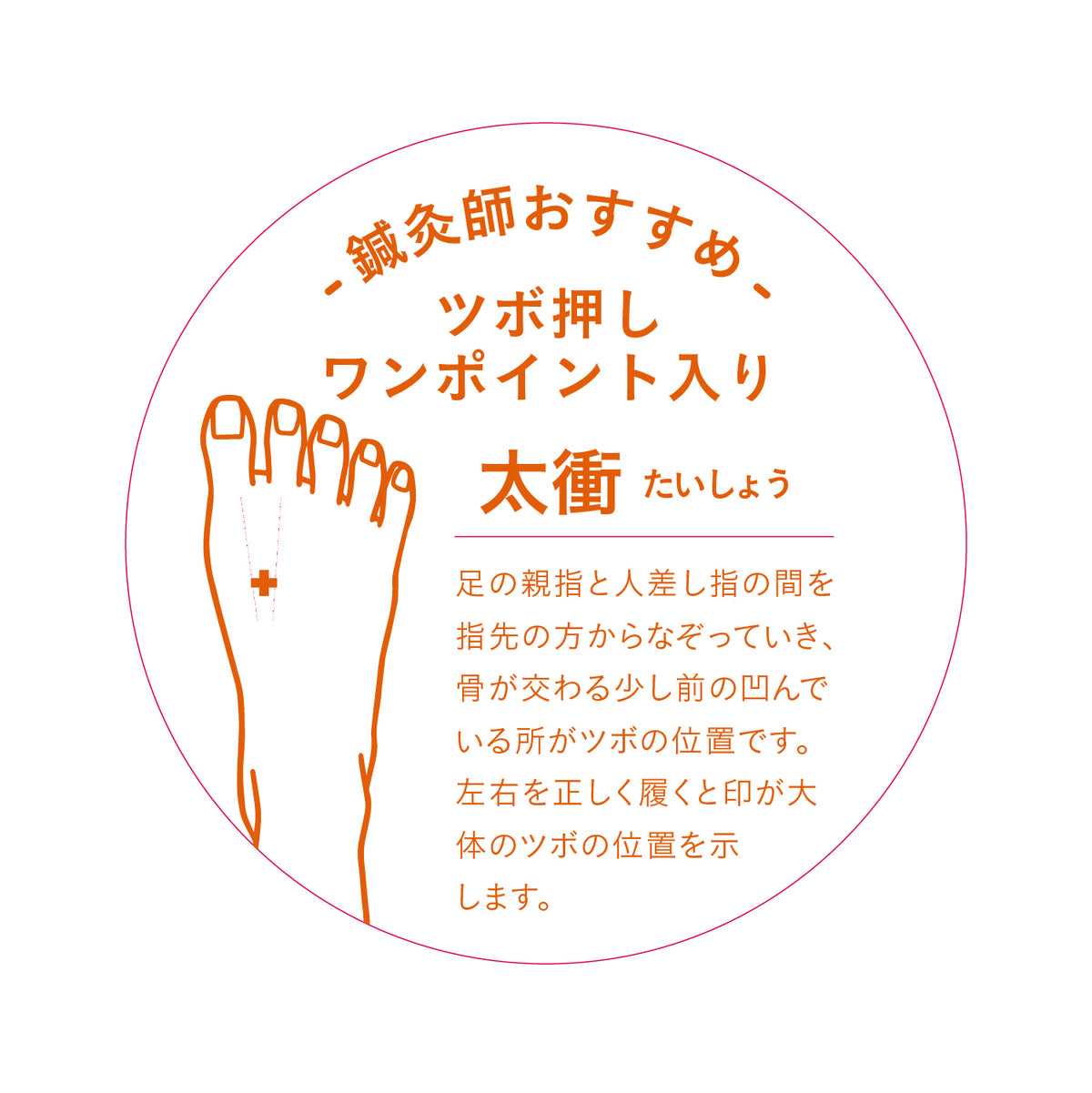 あったか温ソックス 2026モデル