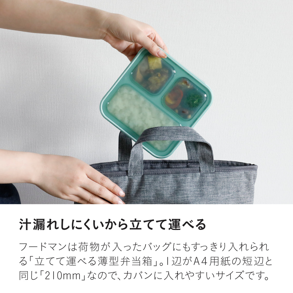 薄型弁当箱 抗菌フードマン500ml